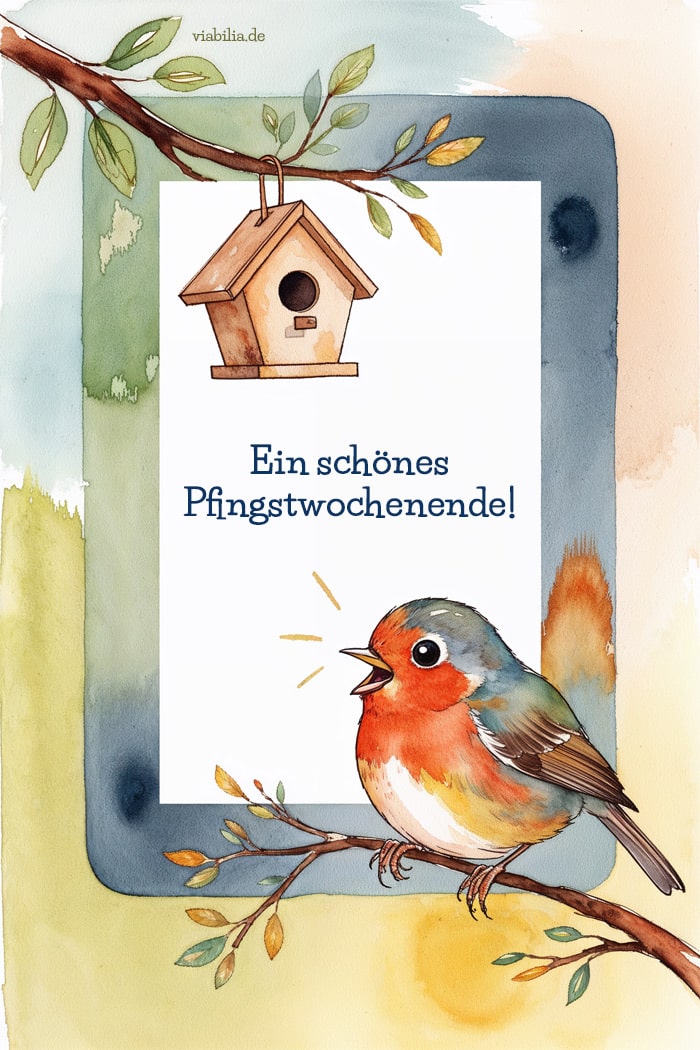 Ein schönes Pfingstwochenende wünschen mit singendem Vogel auf Bild