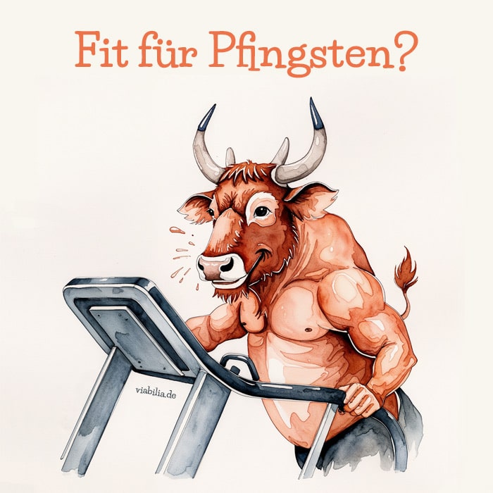 Fit für Pfingsten, lustiges Bild mit Fitness-Pfingstochse