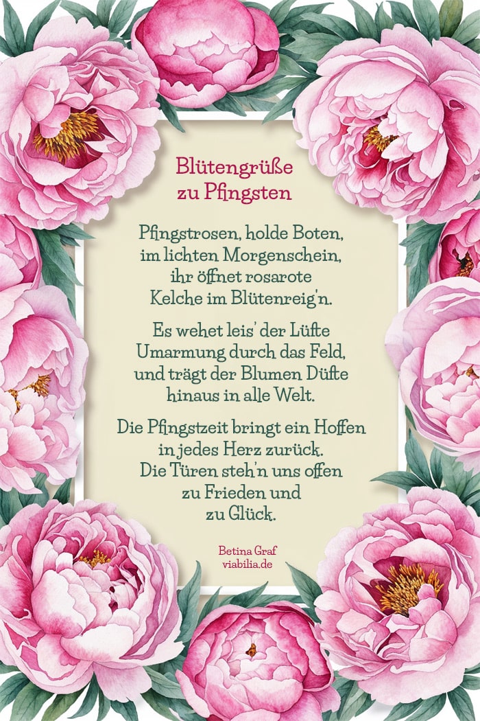 Pfingstrosen-Bild: Blütengrüße zu Pfingsten