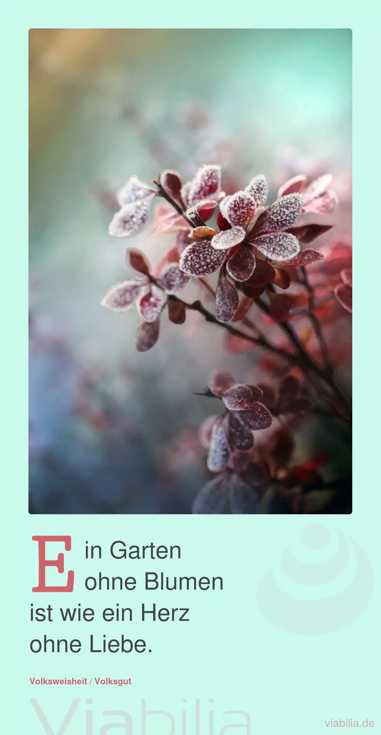 Gartenspruch bzw. Metapher über Blumen und Herz