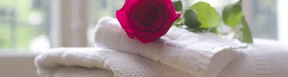 Rose liegt auf gefaltetem Handtuch