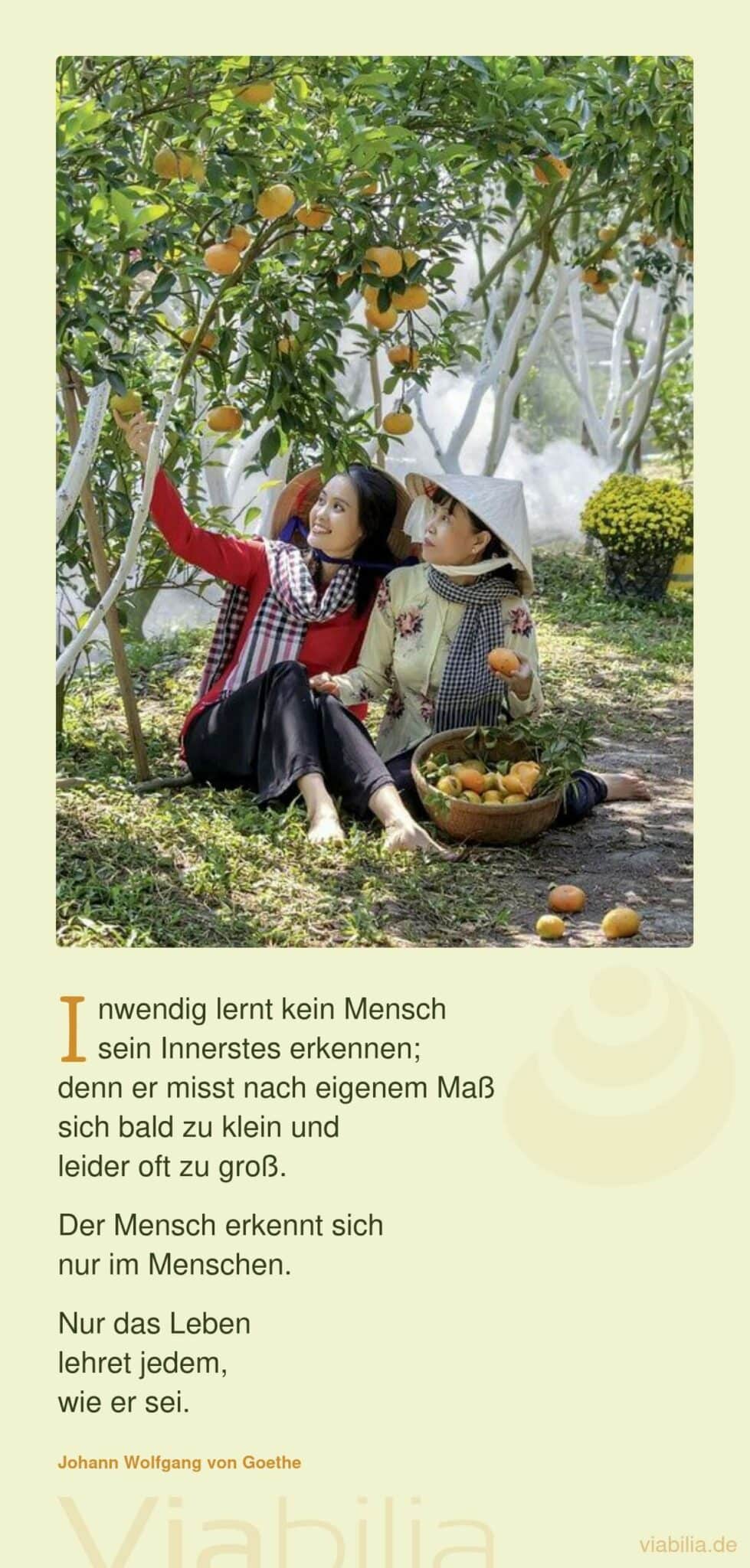 Sich im anderen wie in einem Spiegel erkennen